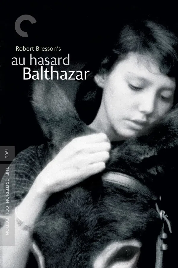 Poster phim Chú Lừa Balthazar trên Phim Mới