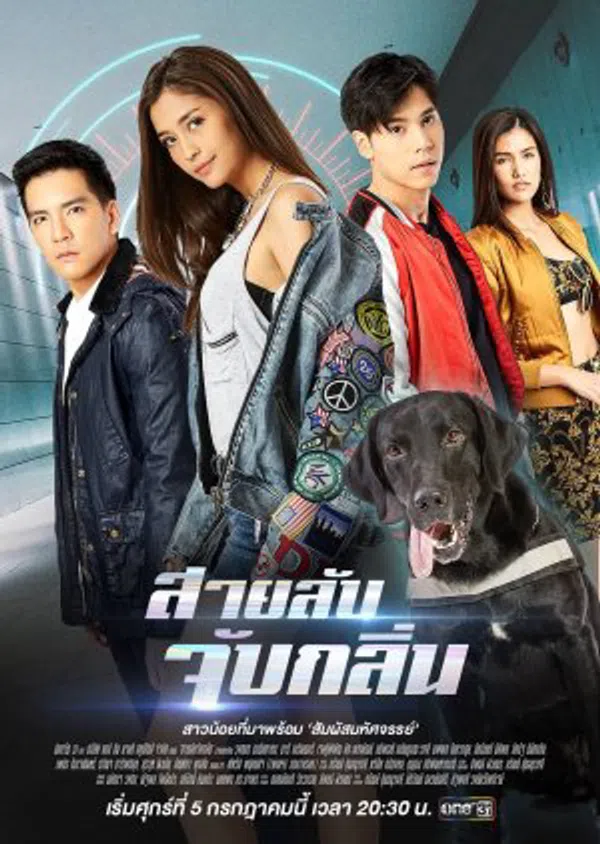 Xem Phim Điệp Viên Săn Mùi Vietsub HD Online