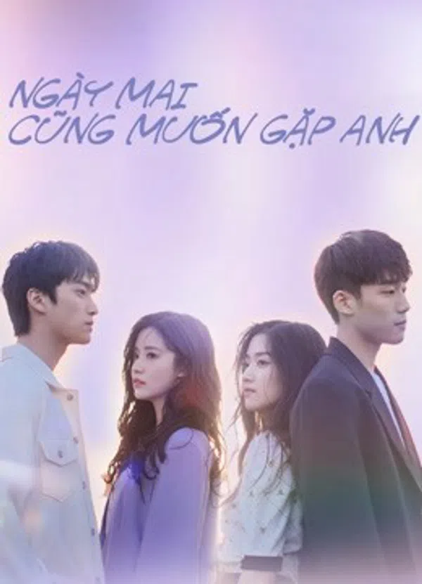 Poster phim Ngày Mai Cũng Muốn Gặp Anh trên Phim Mới